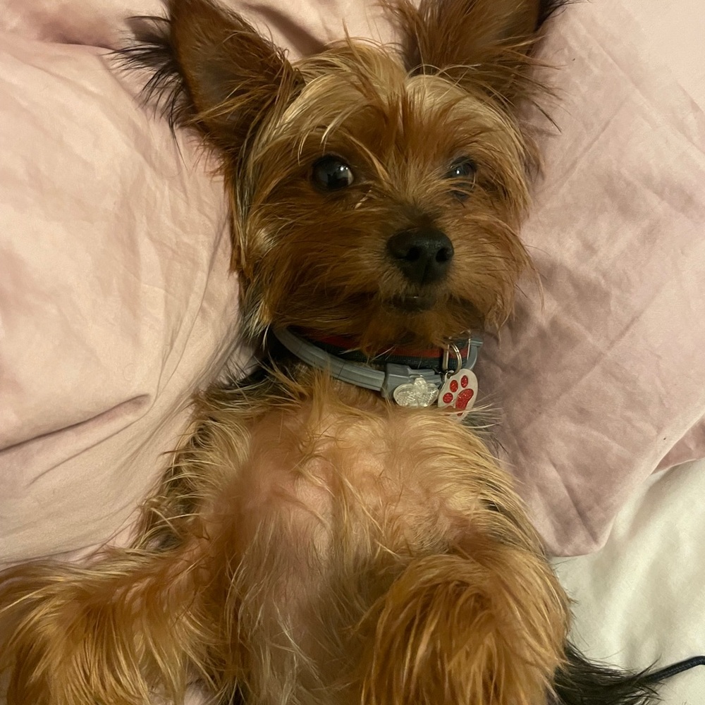 Meet your Posher, Ko